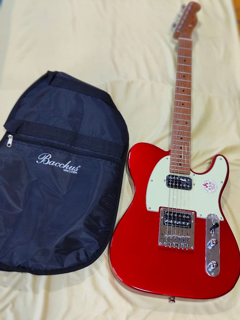 2ヶ月前に購入 新品同様Bacchus テレキャスター ギターケース シールド付