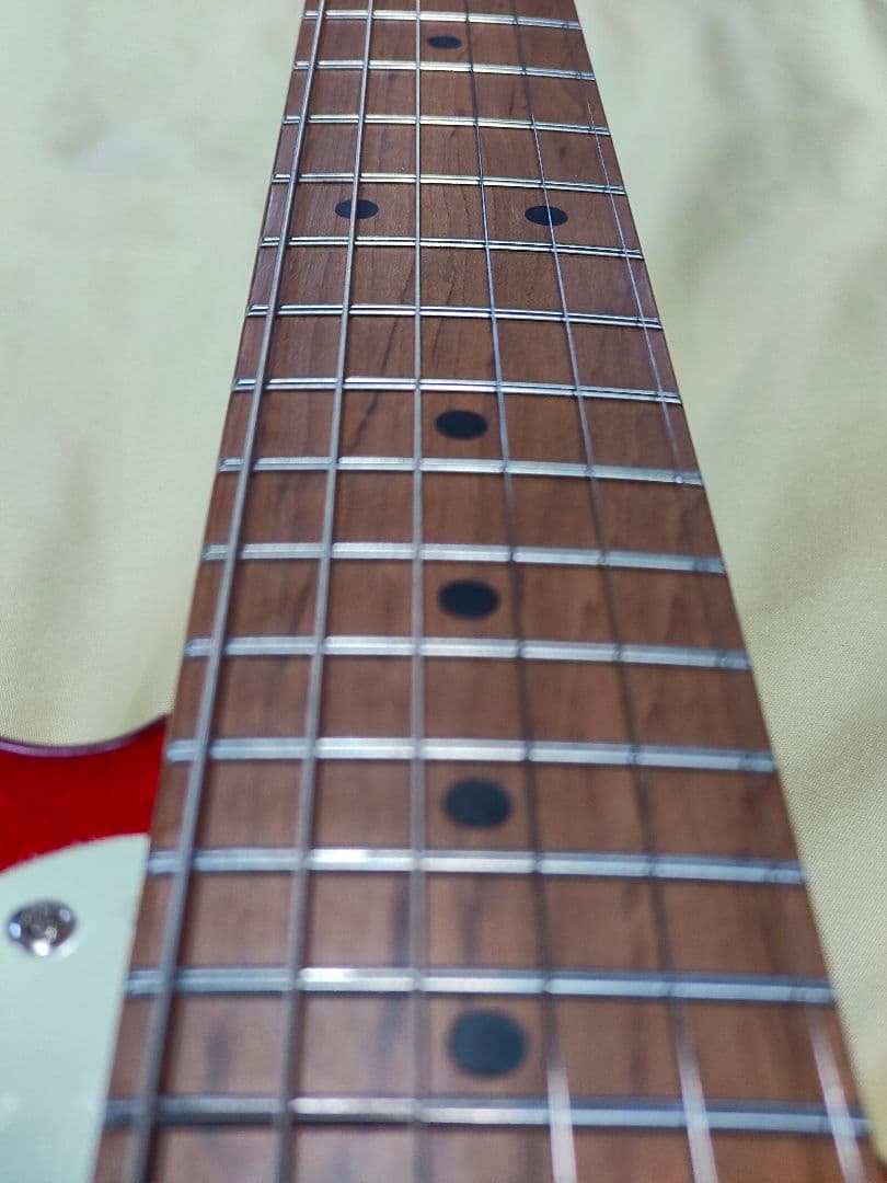 2ヶ月前に購入 新品同様Bacchus テレキャスター ギターケース シールド付