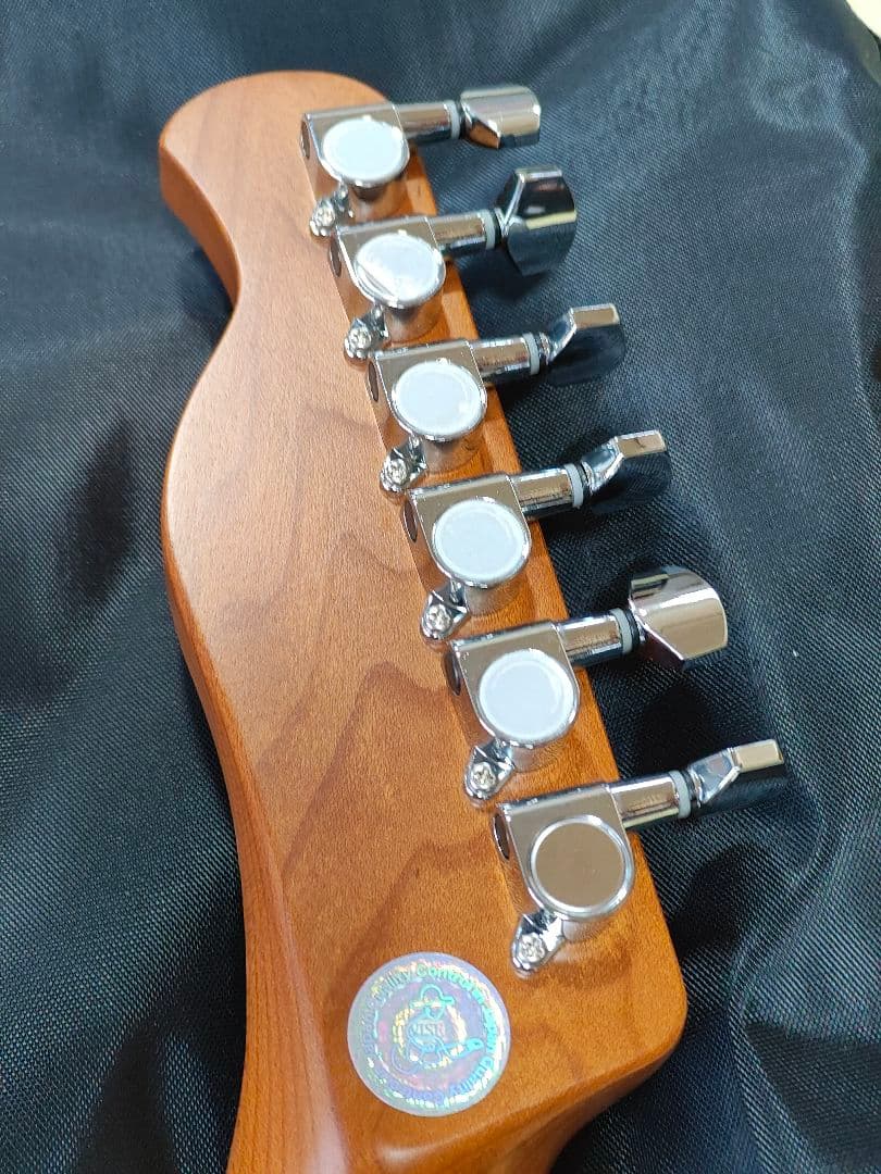 2ヶ月前に購入 新品同様Bacchus テレキャスター ギターケース シールド付