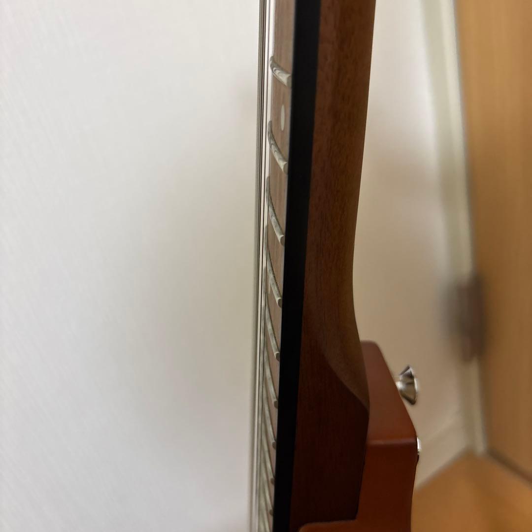 Epiphone. SGタイプ