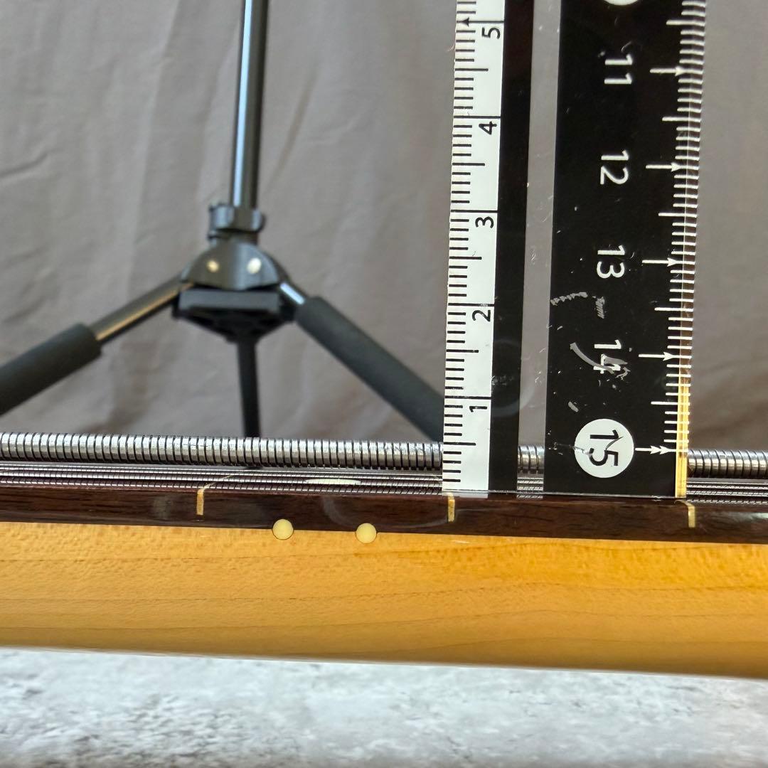 【希少】フジゲン Neo Classic 5弦 フレットレスベース エポキシ塗装