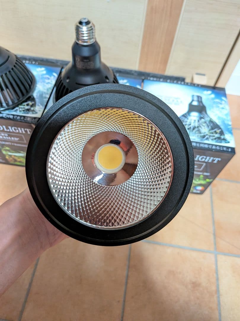 【vic7a】アマテラス20w 2灯セット