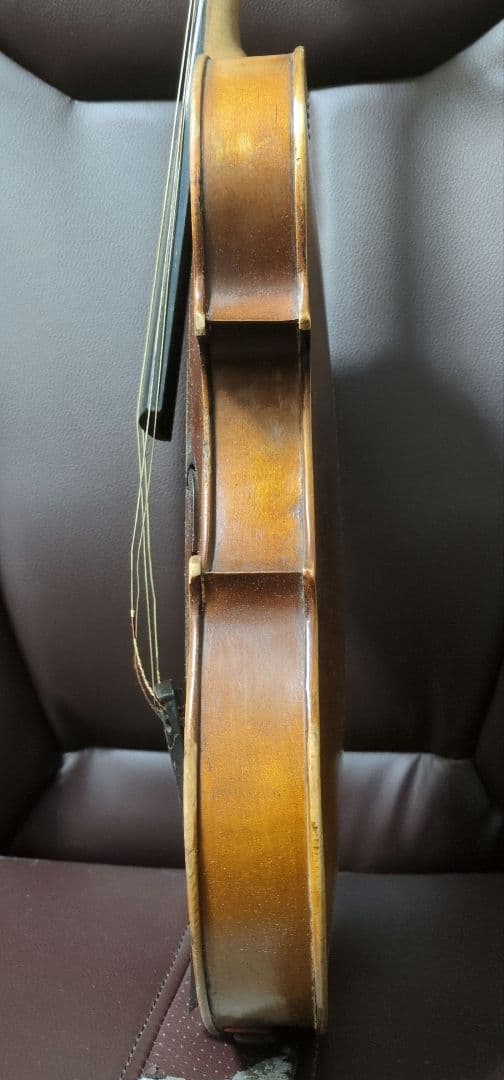 バイオリン本体　オーストリア　楽器