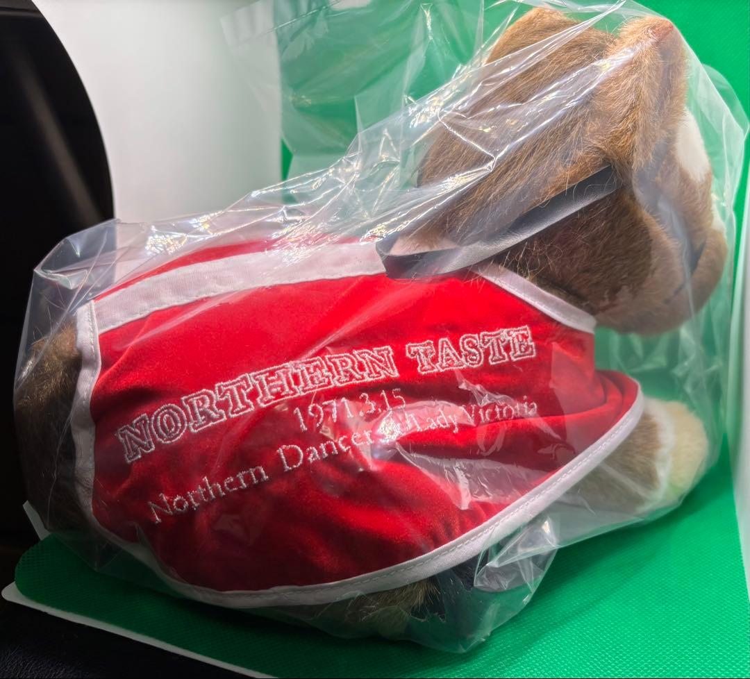 【ノーザンテースト】馬服(希少)／Sサイズ(タグ付き)／アバンティ社製