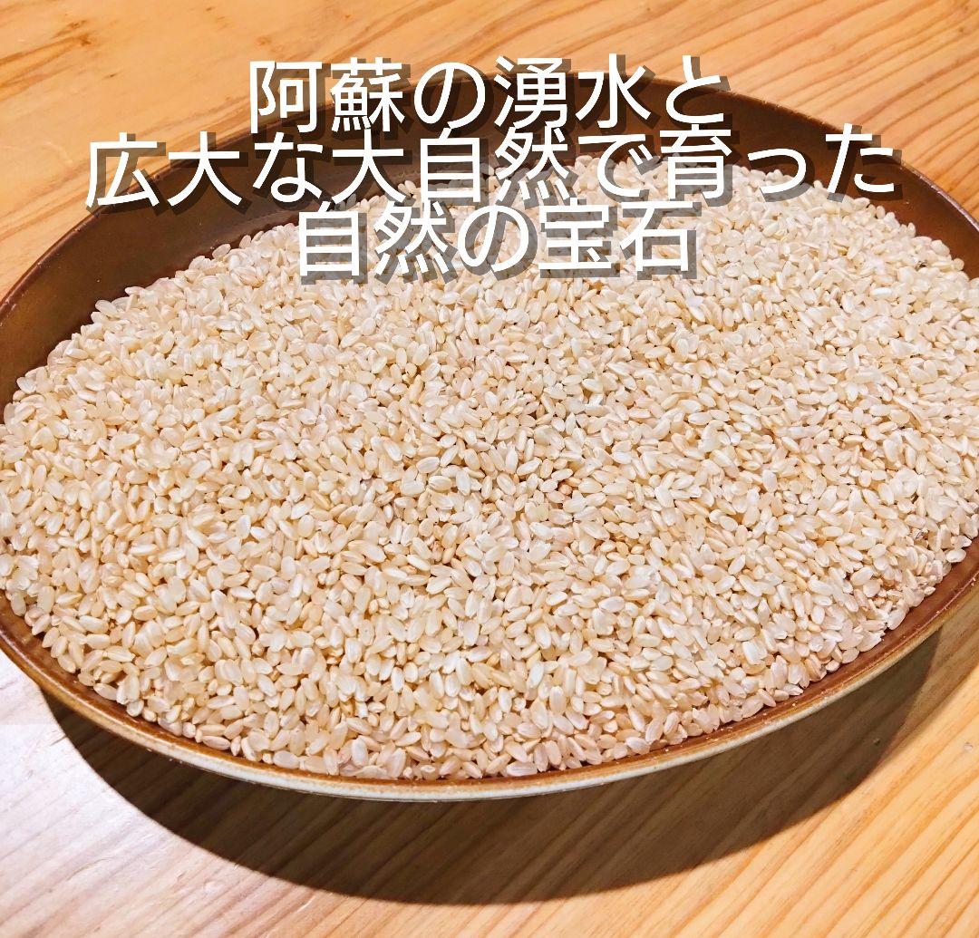 2 令和7年 自然栽培米 亀の尾20kg玄米