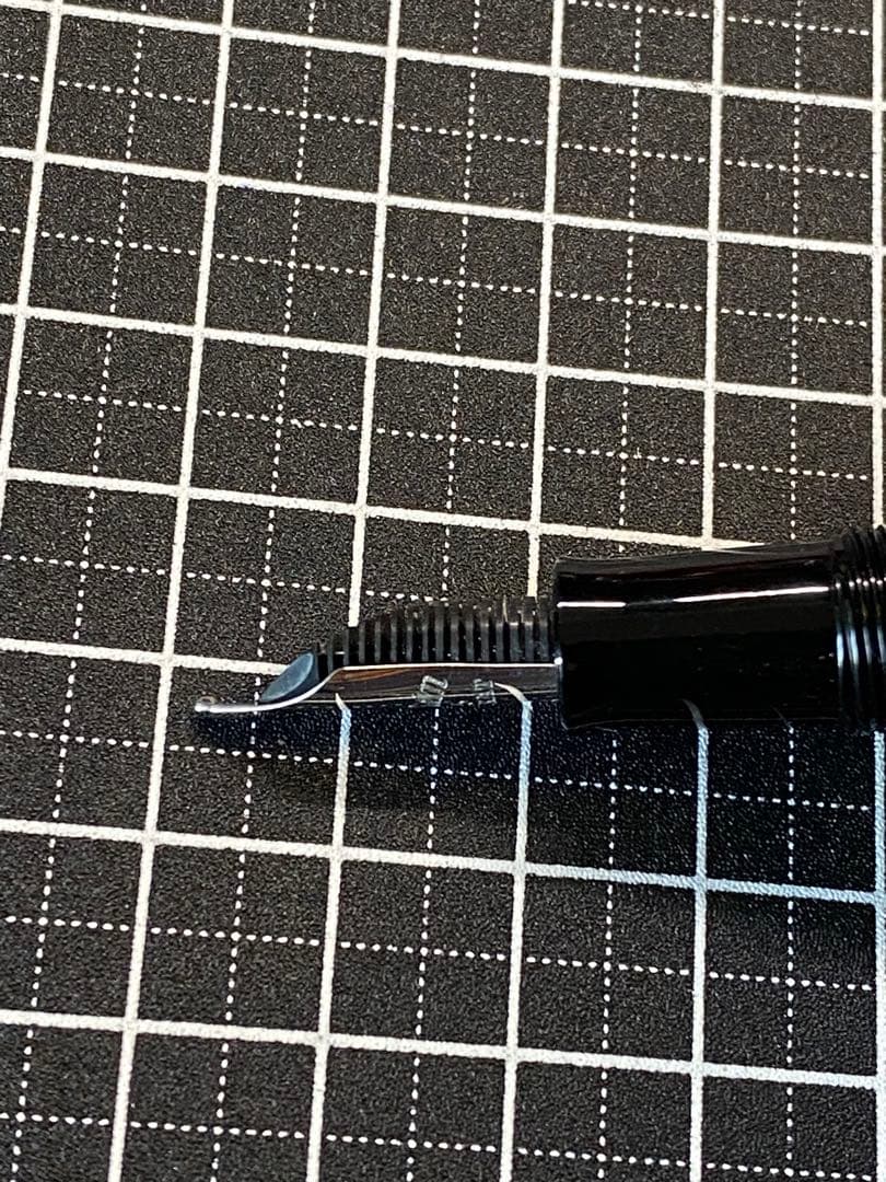 Pelikan M101N Lizard 万年筆　字幅M