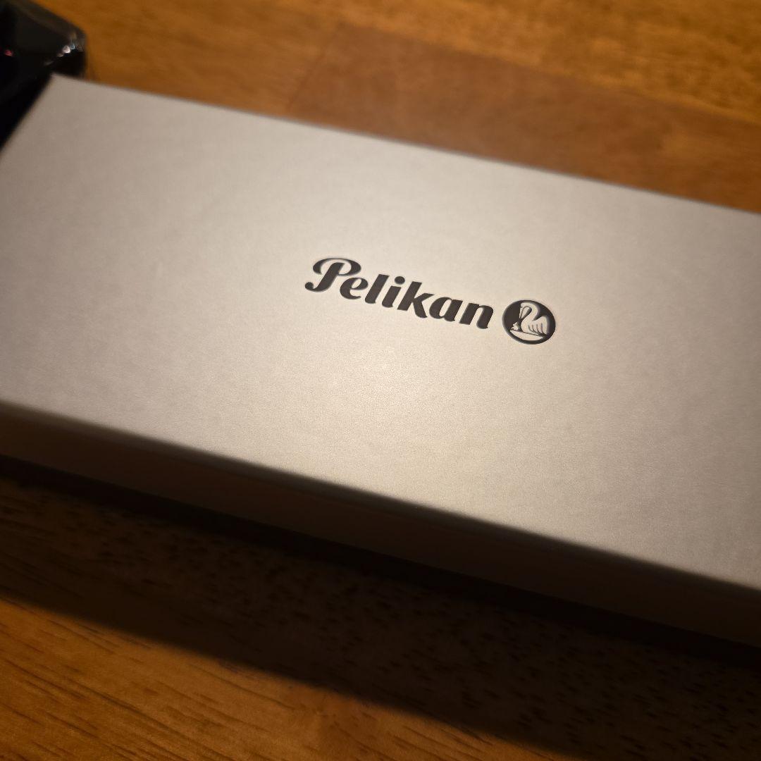 Pelikan ペリカン 万年筆 EF 極細字 スーベレーン M400