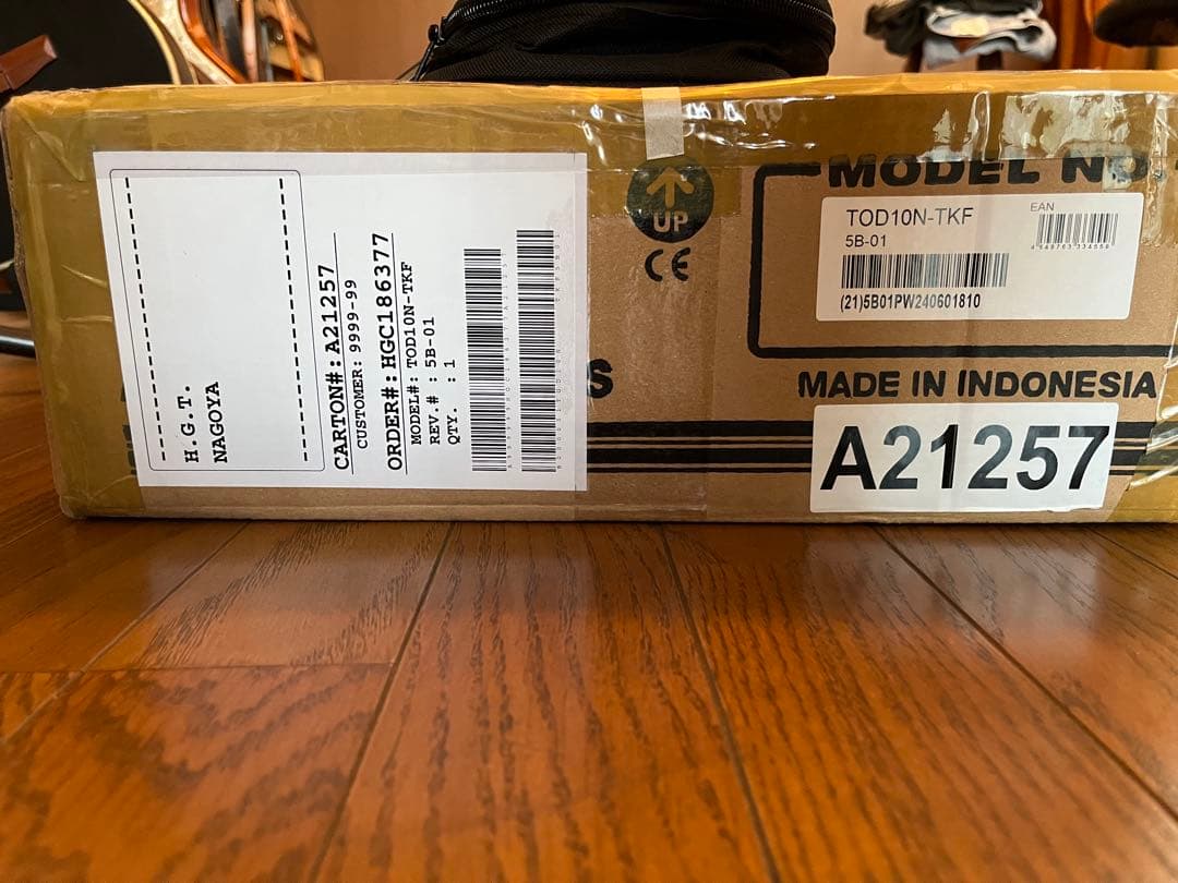 Ibanez TOD10N（Tim Henson シグネチャー / ナイロン）