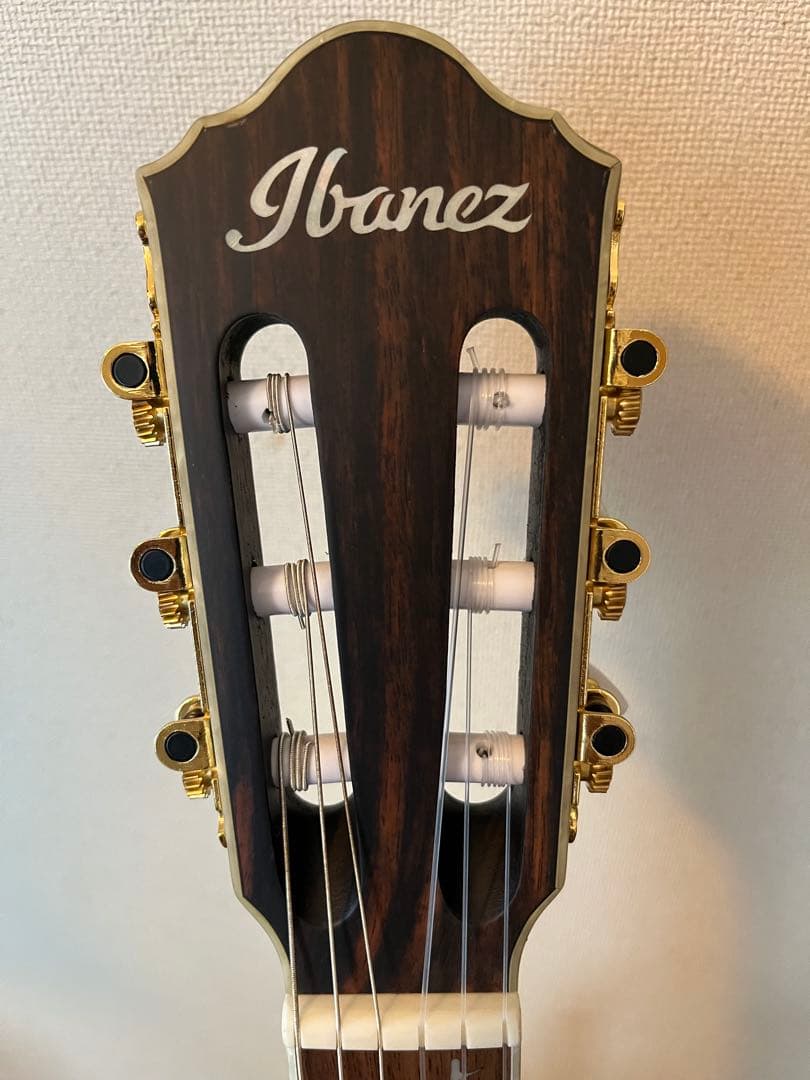 Ibanez TOD10N（Tim Henson シグネチャー / ナイロン）