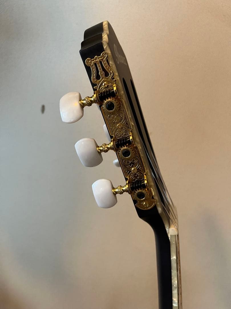 Ibanez TOD10N（Tim Henson シグネチャー / ナイロン）