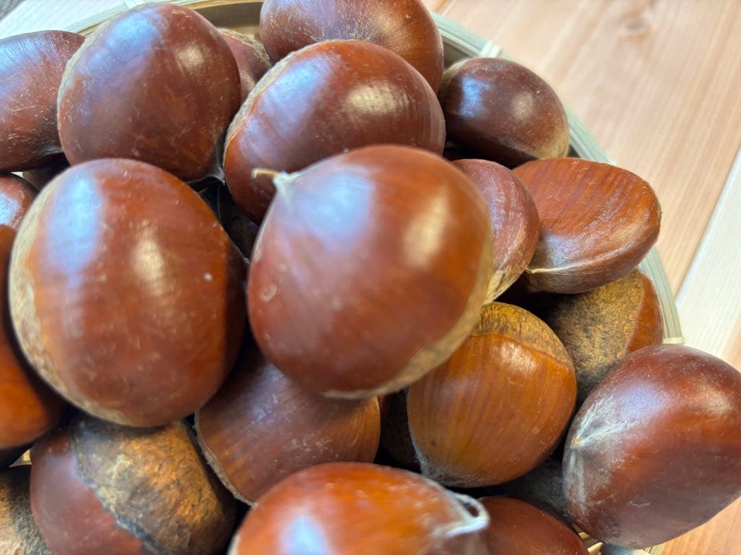 笠間栗 大粒 5kg