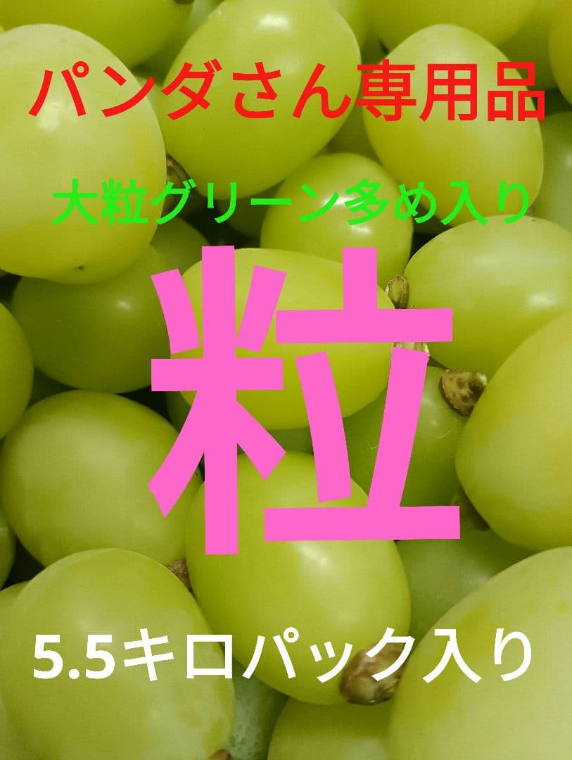 パンダさん専用品。シャインマスカット徳用5.5キロ入りの大粒グリーン多めの粒