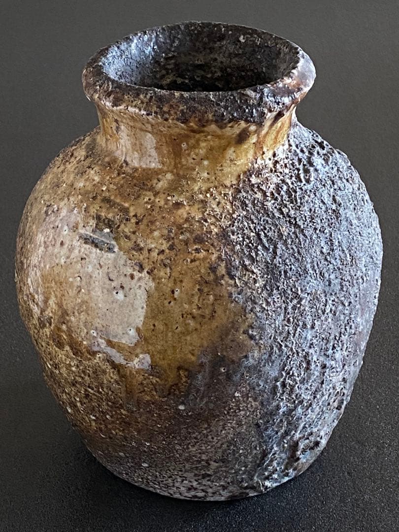 伊賀焼 Iga ware 壺 蹲 うずくまる Jar 谷本光生 R01