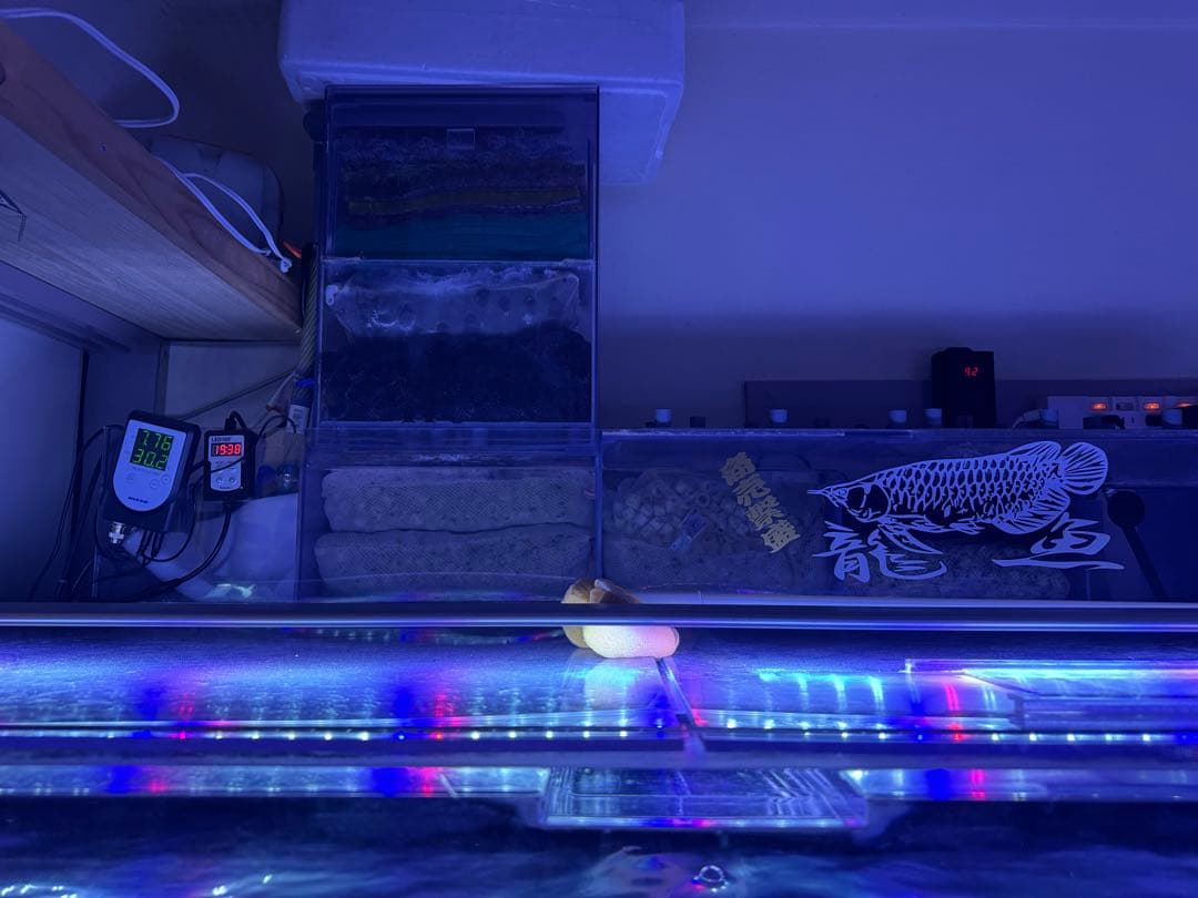 大型アクリル水槽 LEDライト付き