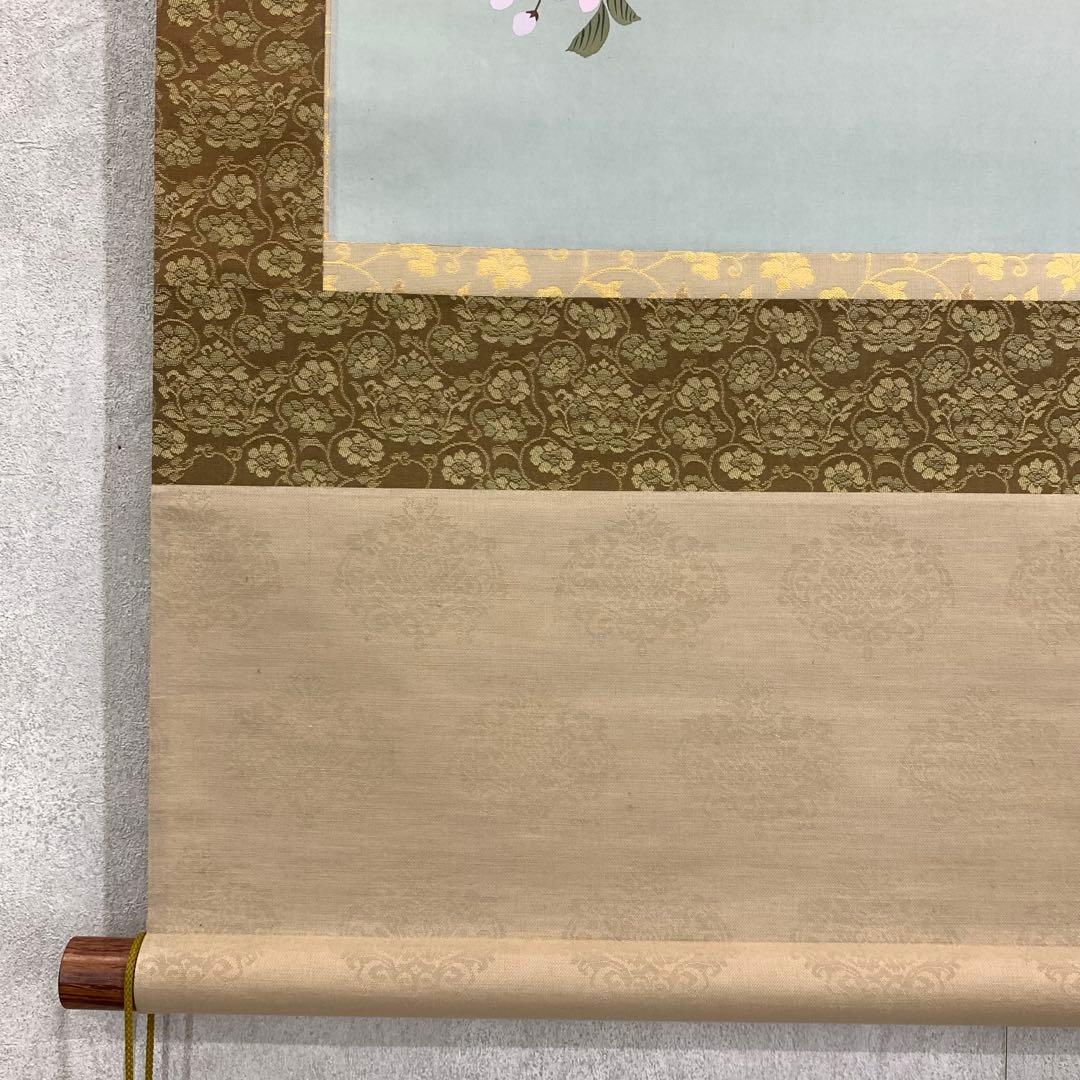 掛軸 秋峰 夜桜 共箱 春 月 満月 花 桜 5-14