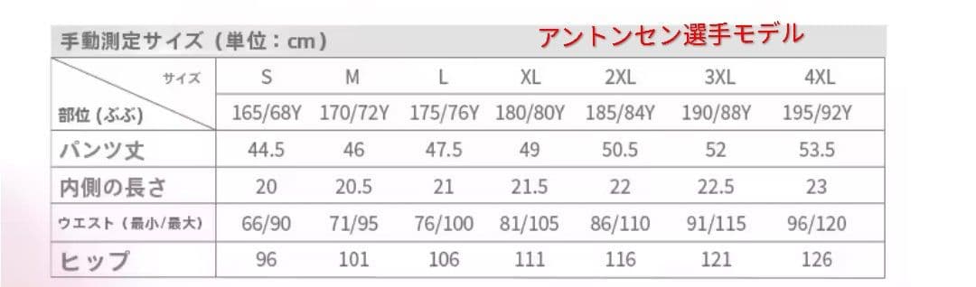 【Lサイズ】VICTOR バドミントンハーフパンツ アントンセンモデル