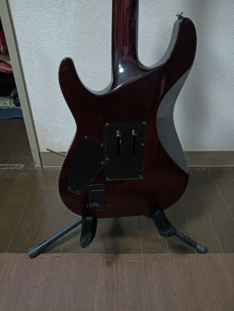 Schecter ヘルレイザー AD-C-1-FR-HR EMG搭載