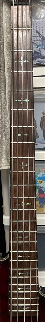 即発送 SCHECTER HELLRAISER-5 5弦ベース 調整済み