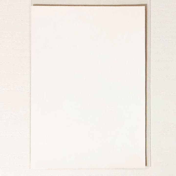 HKT48【田島芽瑠】メロンジュース★外付け特典★生写真★ブロマイド