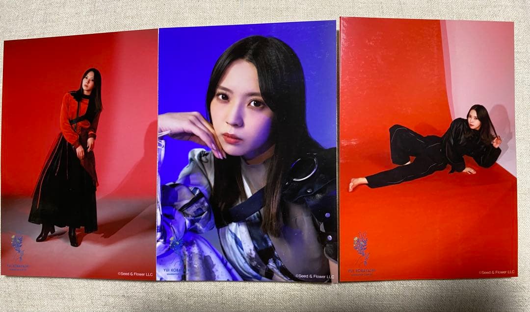 小林由依 直筆サイン入り生写真