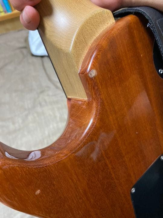 ギター paul reed smith tremonti signature