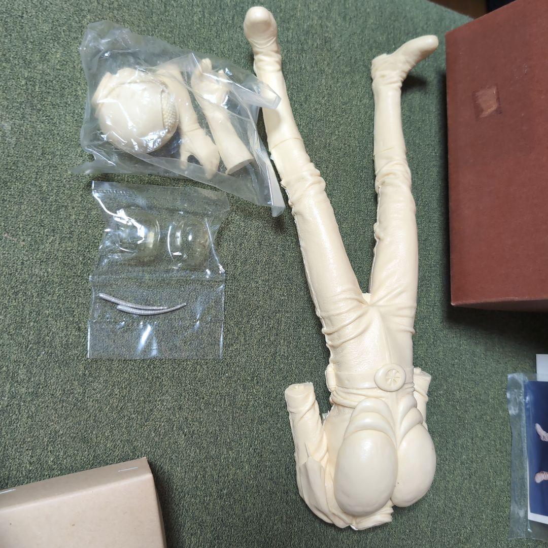 原作版 仮面ライダー1号 改造人間シリーズ vol.1ガレージキット