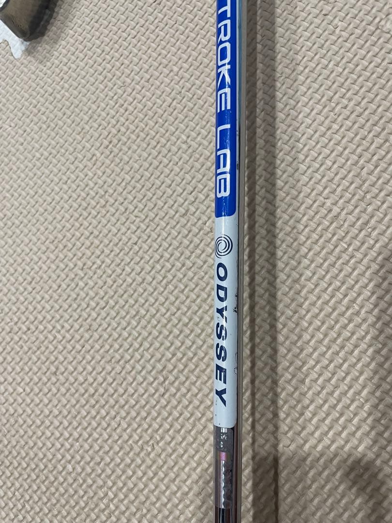 希少！ジェイルバードミニパター