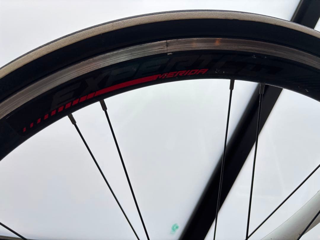 ミニウサギgios mistral