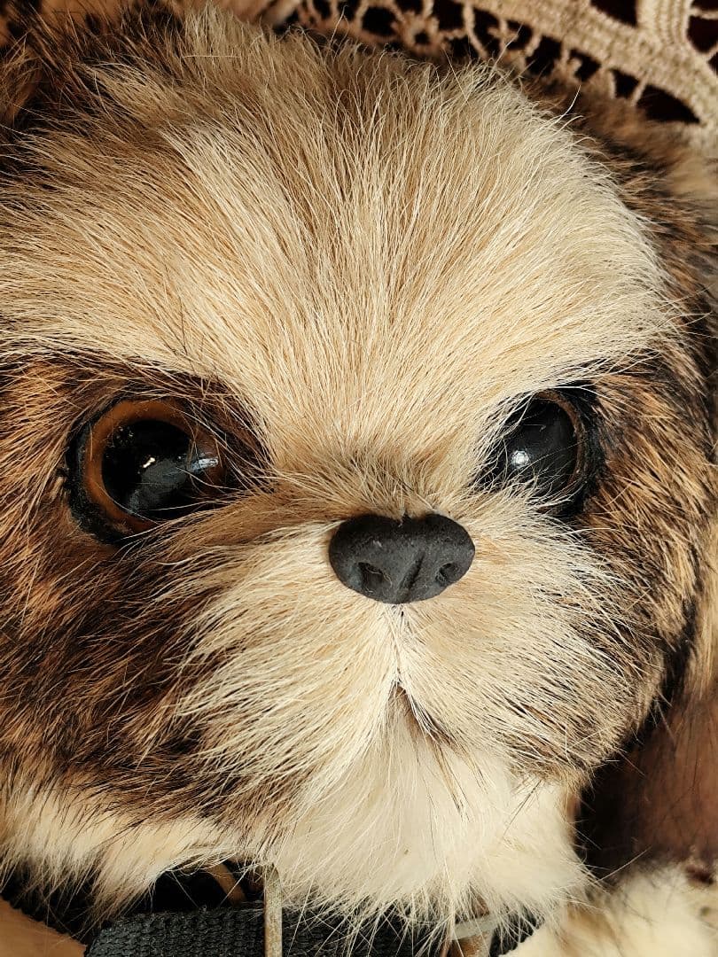 レトロ　シーズー　ぬいぐるみ　レトロぬいぐるみ