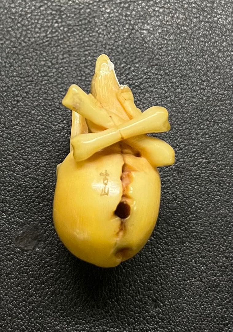 激レア！骸骨根付け 鼠 骨製 スカル 髑髏 時代物 アンティーク 古山 ボーン