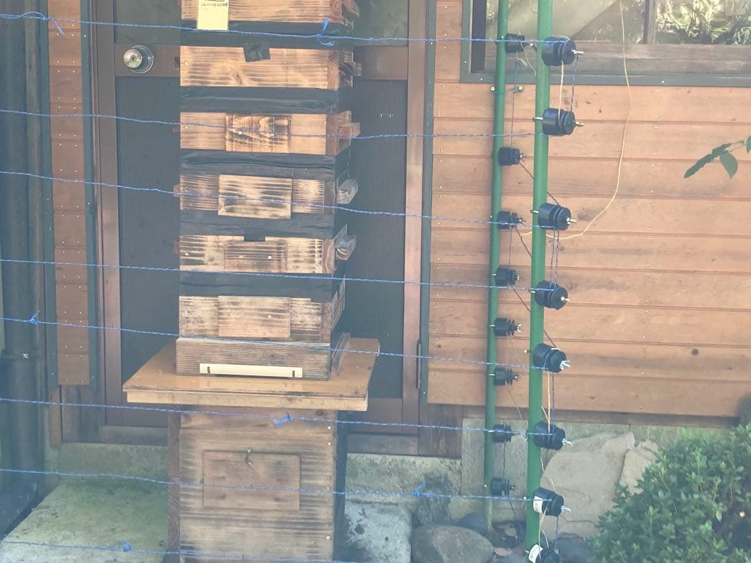 日本ミツバチのハチミツ　たれ蜜 ❣️送料込み‼️ ¥8,640