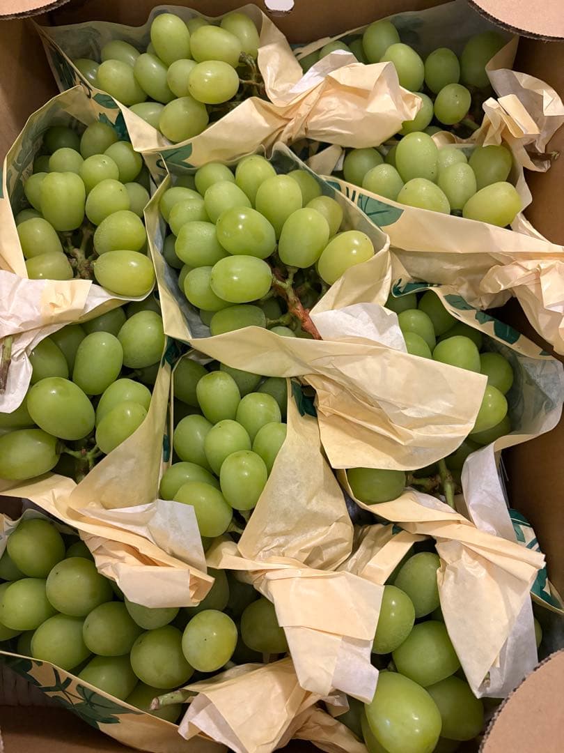 長野県産　シャインマスカット 10房セット　5kg