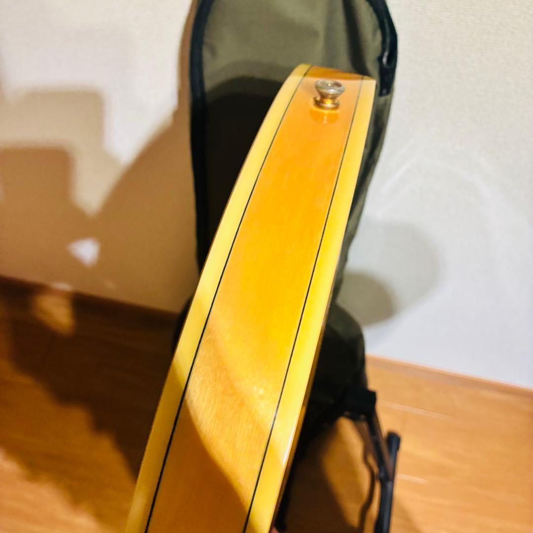 EPIPHONE Sheraton-II 【動作確認済】エピフォン セミアコ