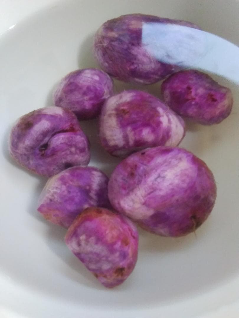 【専用出品】紫山芋のむかご20g～50g合計400個を特別販売!