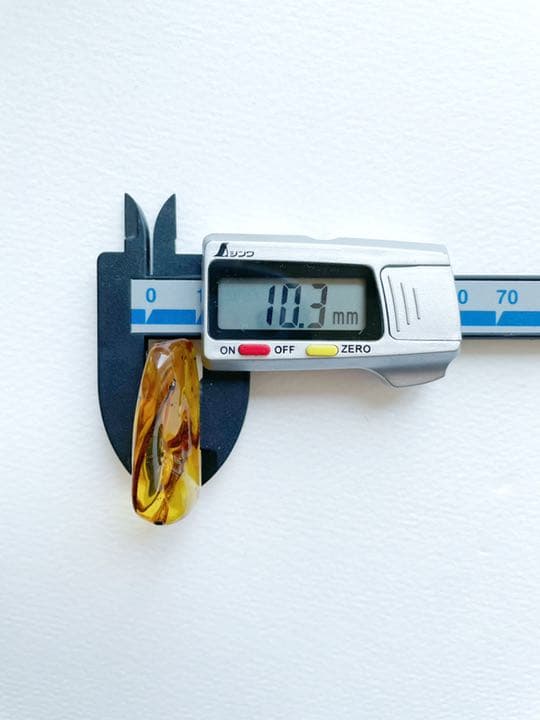 大粒　虫入り天然琥珀　植物片　化石　恐竜　夏休み　自由研究