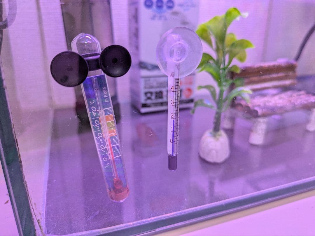 水槽 LEDライト フィルター 自動給餌器 説明書付き