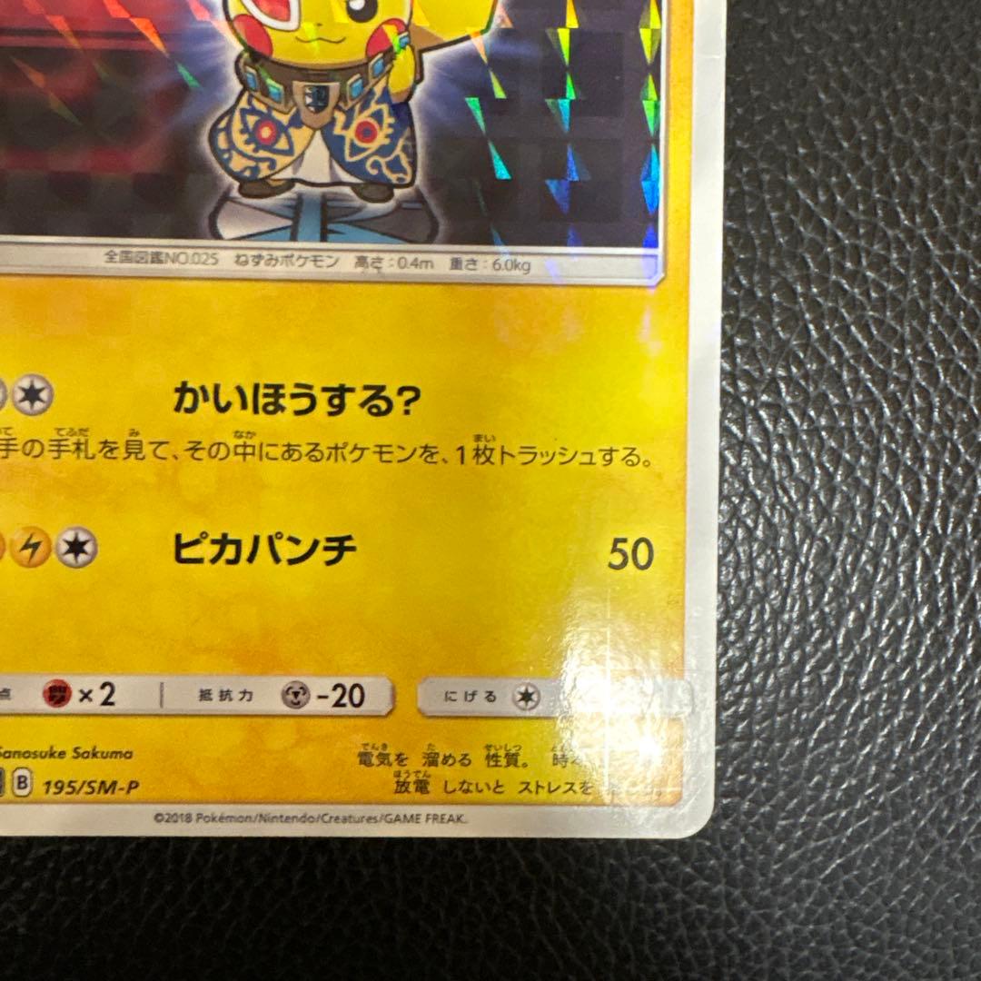 【Matheus様】専用 ピカチュウ プラスマ団 カード 195/5M-P