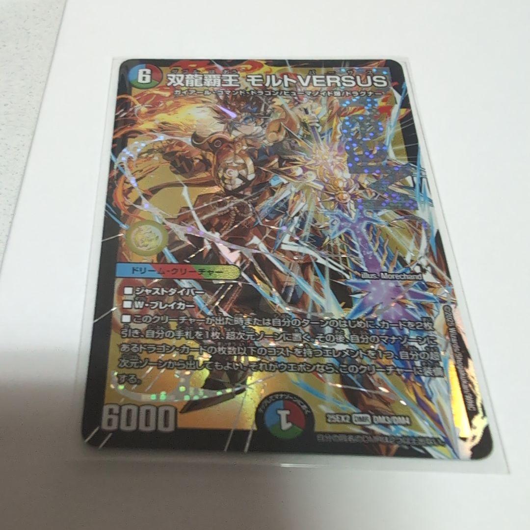 双龍王 モルトVERSUS 2枚セット