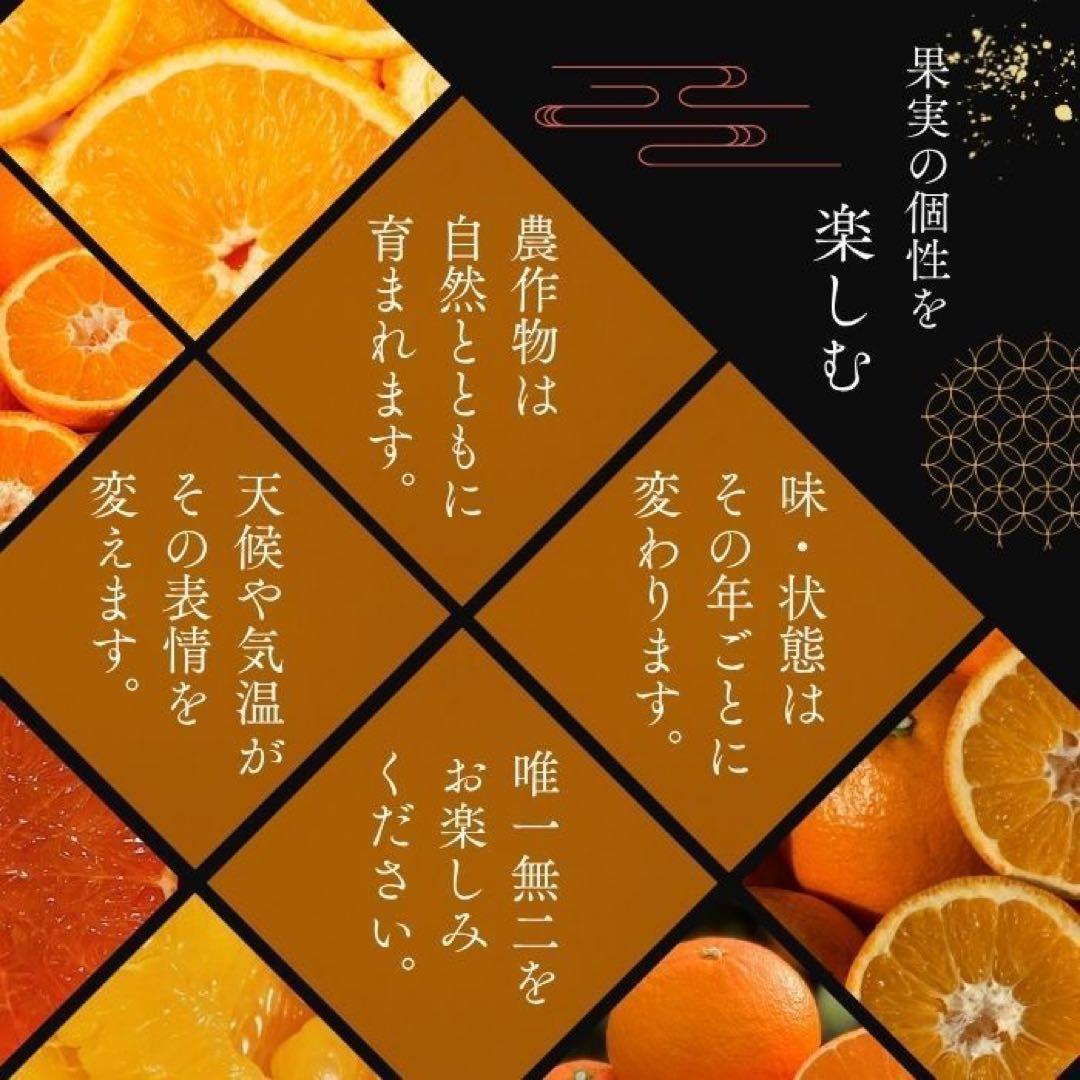 【甘平】約15kg 訳あり サイズ混合 かんぺい 柑橘 みかん 家庭用 農家直送