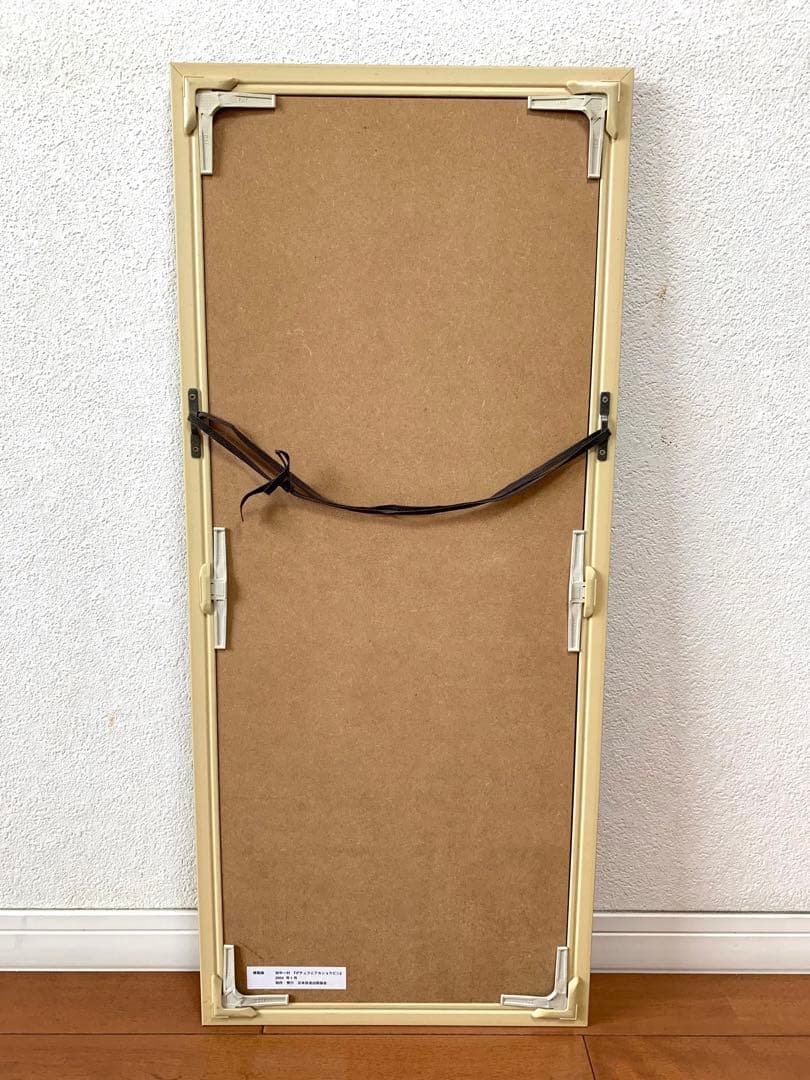 田中一村 ダチュラとアカショウビン 日本放送出版協会