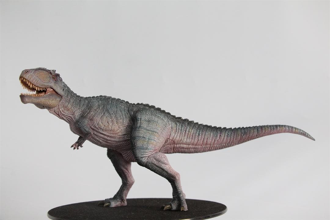 Sumo様　3点セット