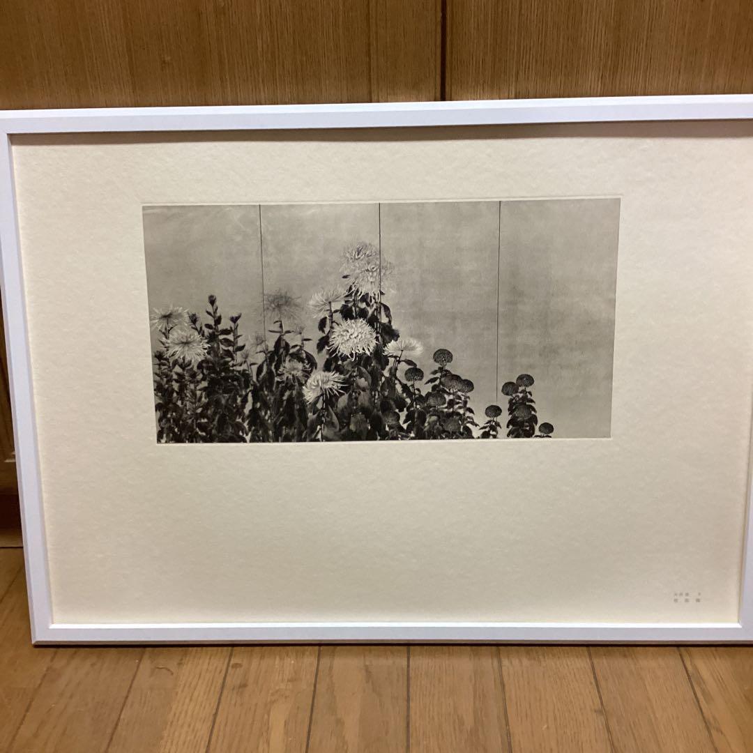 天才画家　速水御舟　作品集大作編　便利堂監修　画集NO 9 【菊花図】