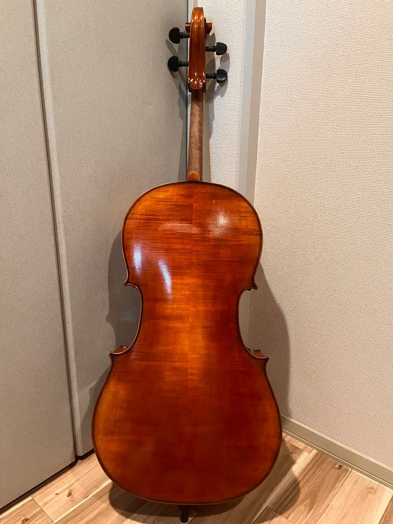 チェロ　カルロ•ジョルダーノ　ハードケースセット