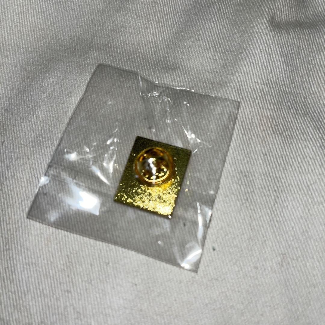 【非売品激レア】万博　スイス館　ピンバッチ