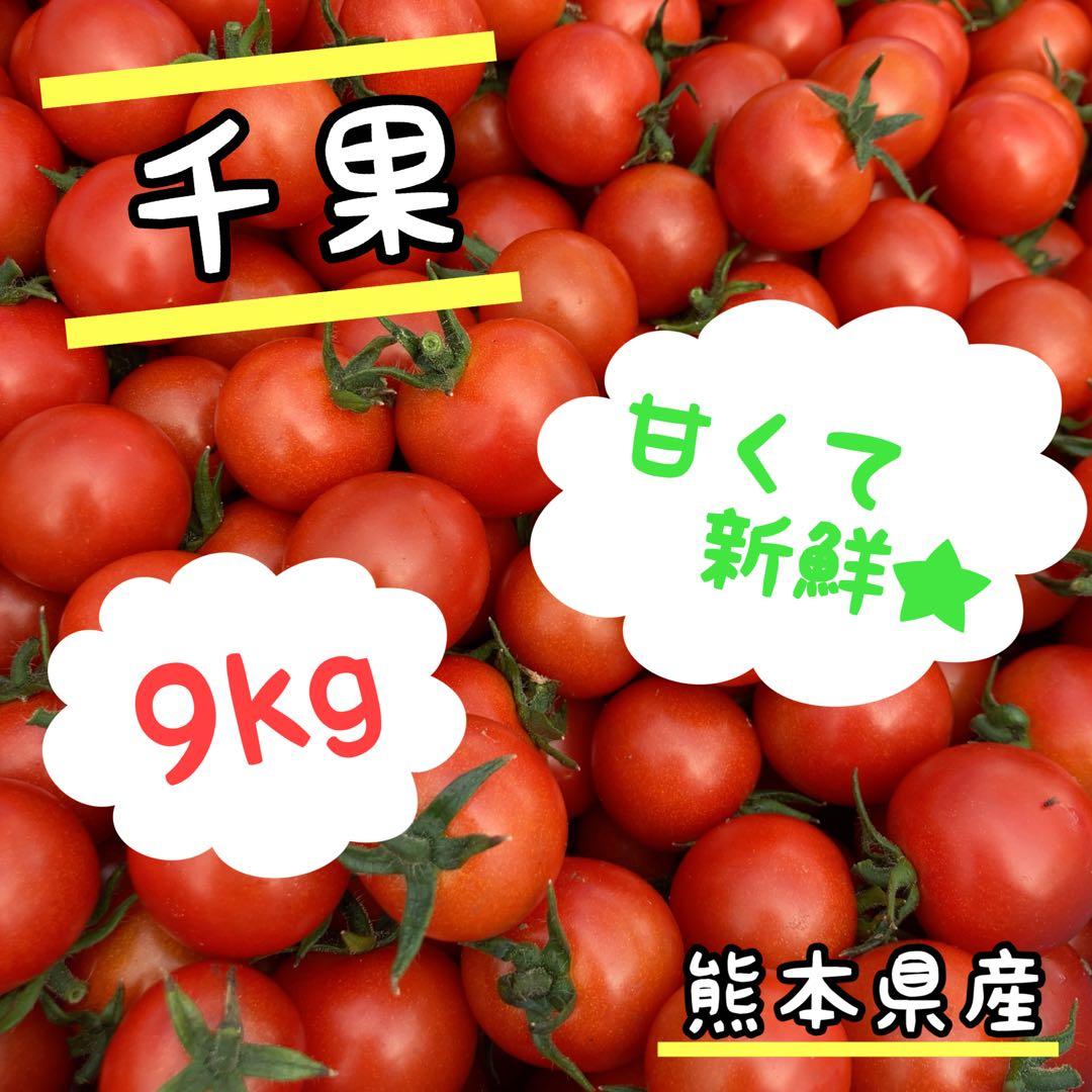 ミニトマト　9kg ⭐️日曜限定100円引き⭐️