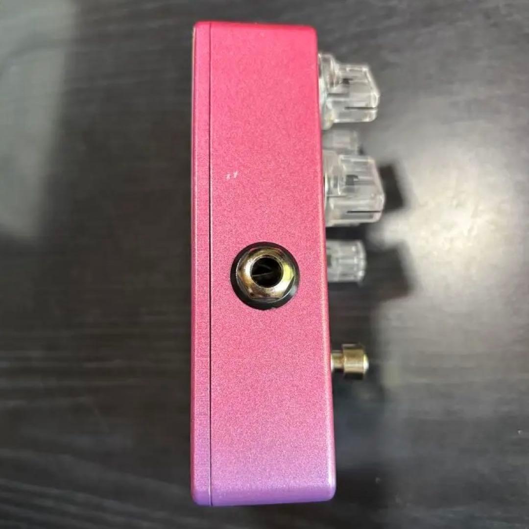 ギター Vivie modern raven