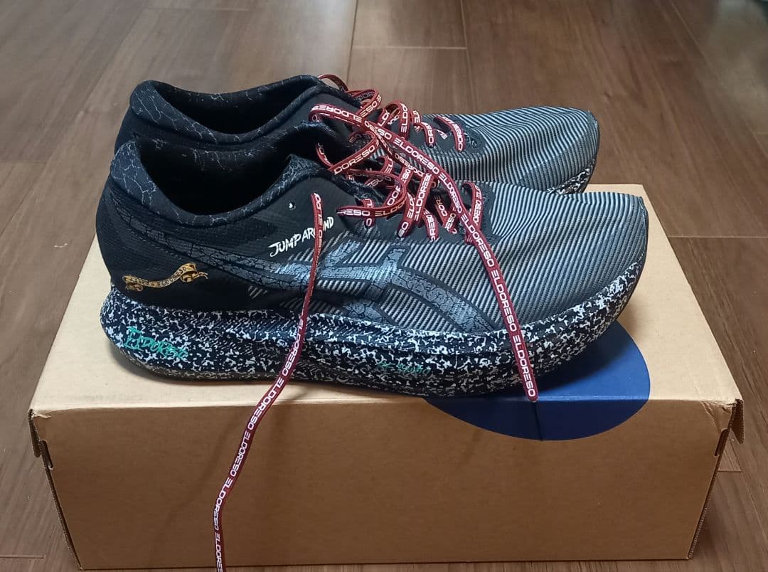 アシックス　エルドレッソ　S4 28センチ　コラボ