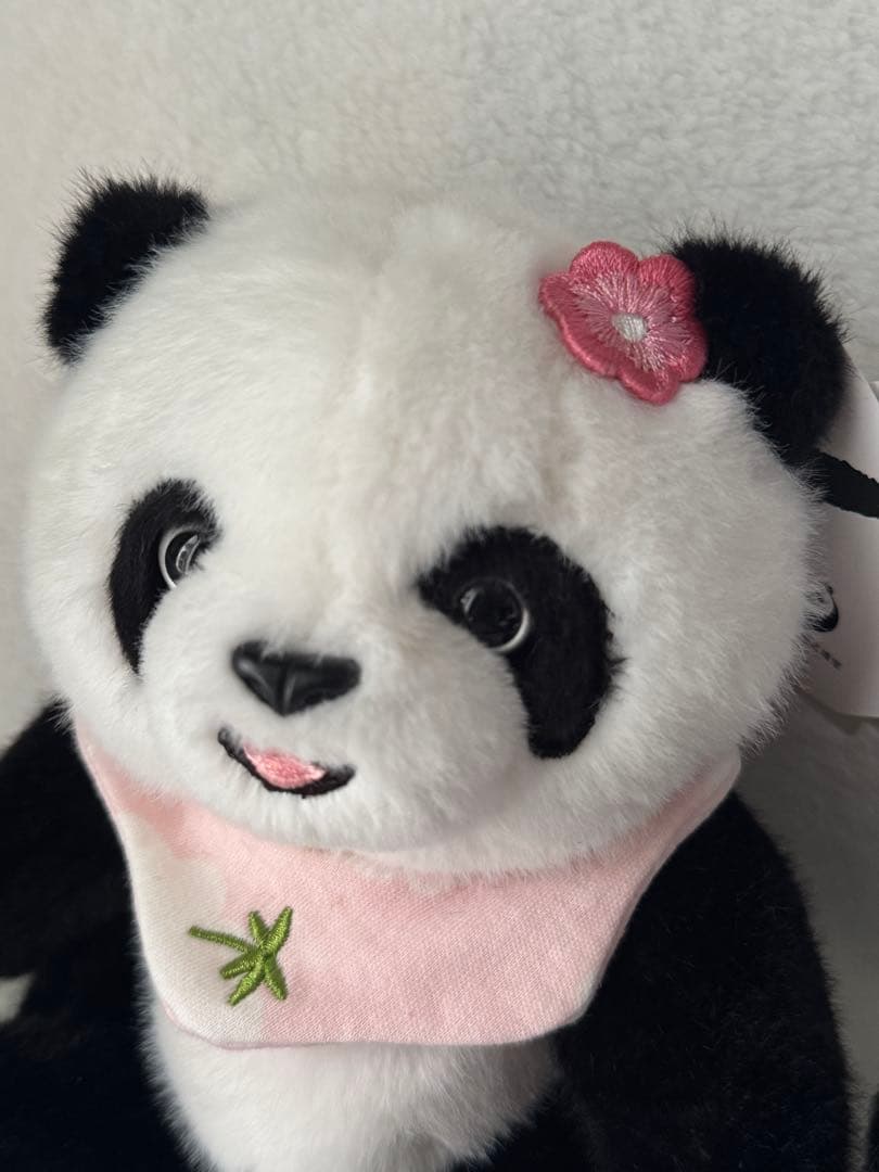 中国 パンダ ぬいぐるみ 2体セット 和花 和葉