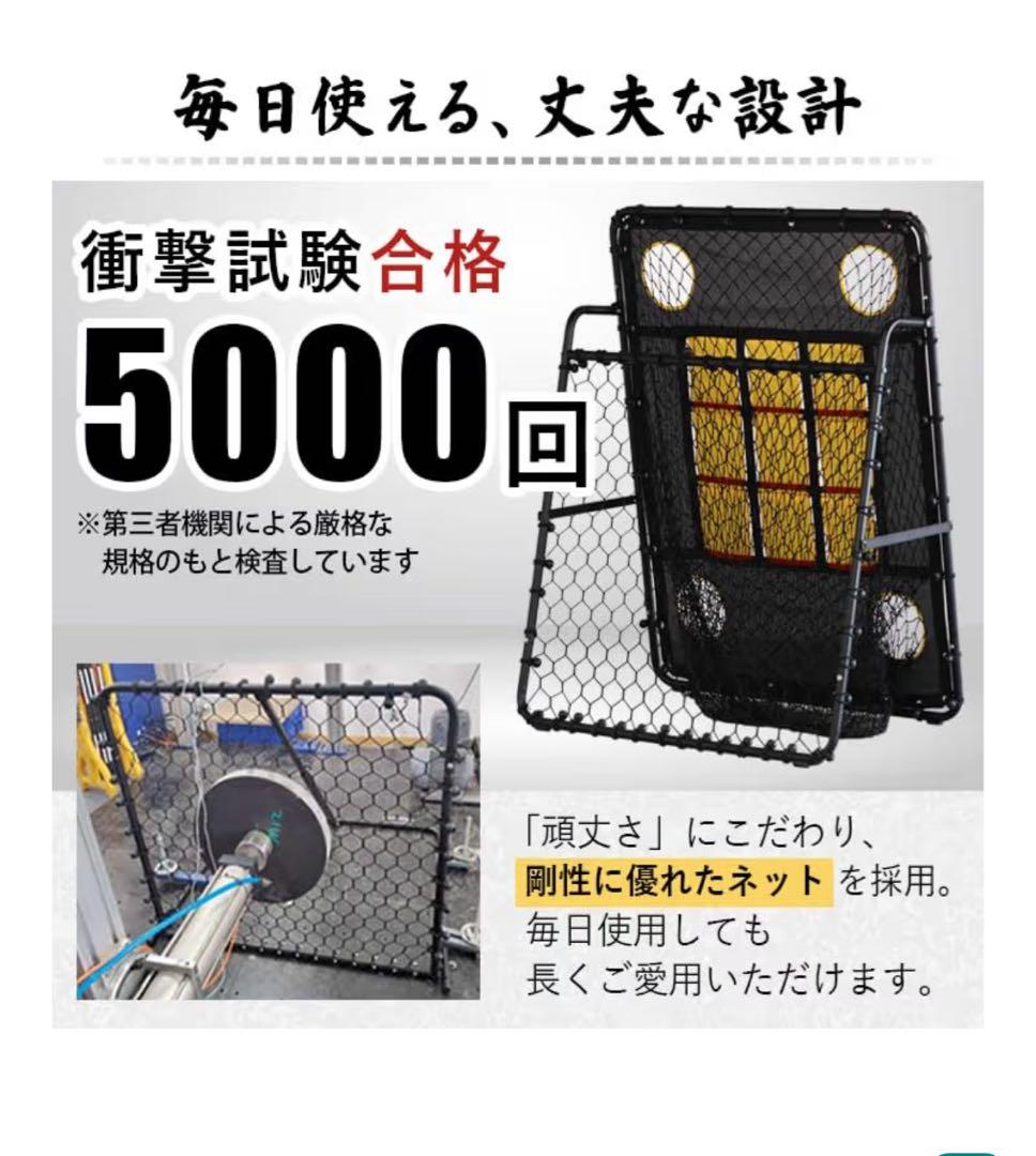 LEADING EDGE バッティングネット ストラックアウト