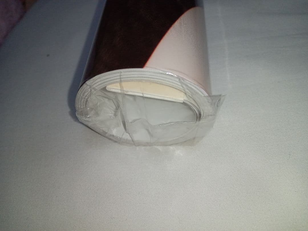 【新品・未開封】rion カレンダー b2 壁掛け 安齋らら 宇都宮しをん